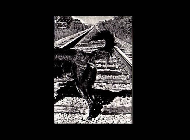 original Slobberbone cassette cover